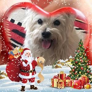 Meet your Posher, Lynne